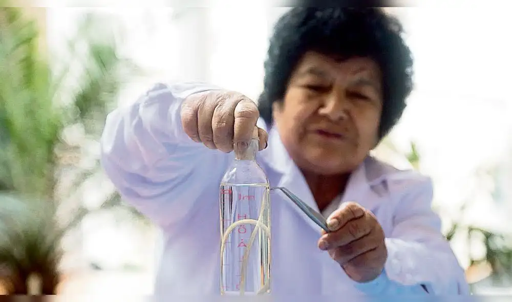 El 40% de niños entre 2 y 5 años están en riesgo de sufrir anemia por parásitos