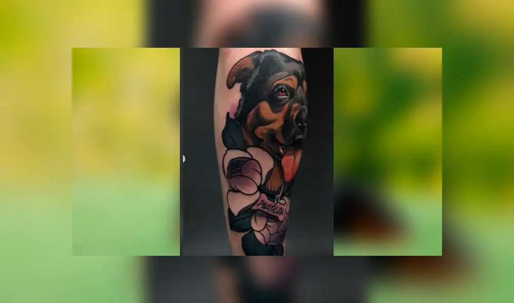 Desliza las fotografías para ver el increíble tatuaje que se hizo un joven en honor a su difunta mascota. Foto: Captura/ goksisdead