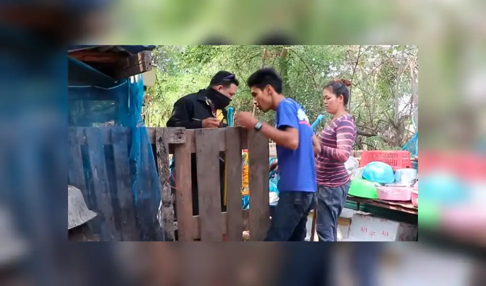 YouTube viral: misterioso animal ingresa a gallinero y deja "congelado" a granjero que notó cómo lucía [VIDEO]