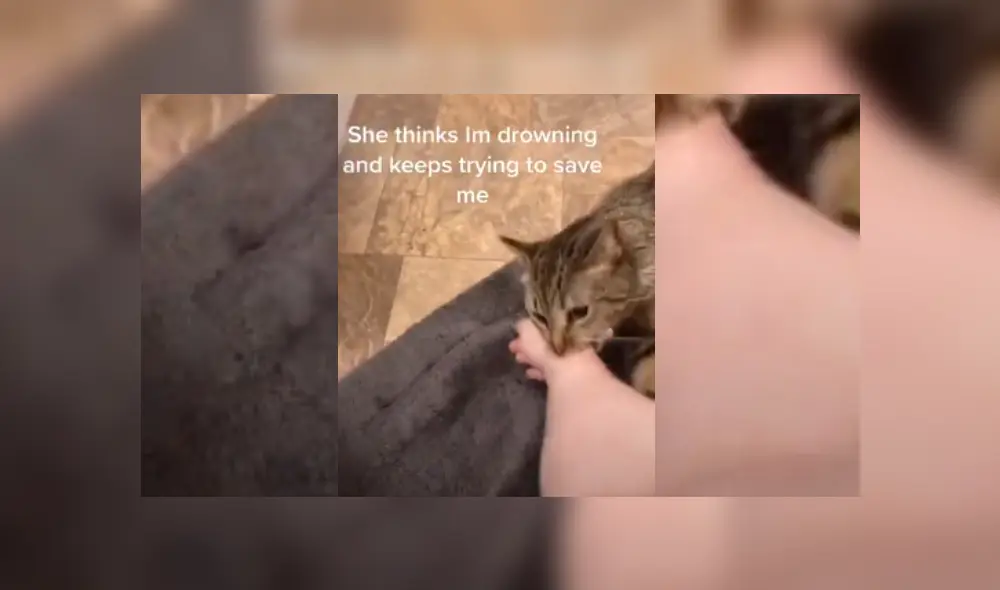 Desliza hacia la izquierda para ver más del video viral. Fotocaptura: YouTube