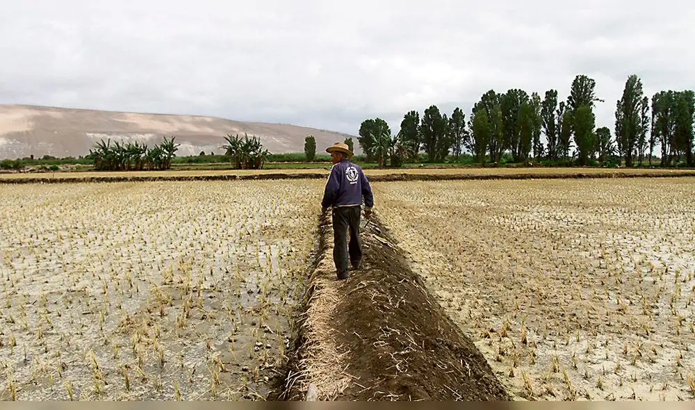 Especialistas señalan que región Arequipa tendrá cinco años de sequía Especialistas señalan que región Arequipa tendrá cinco años de sequía
