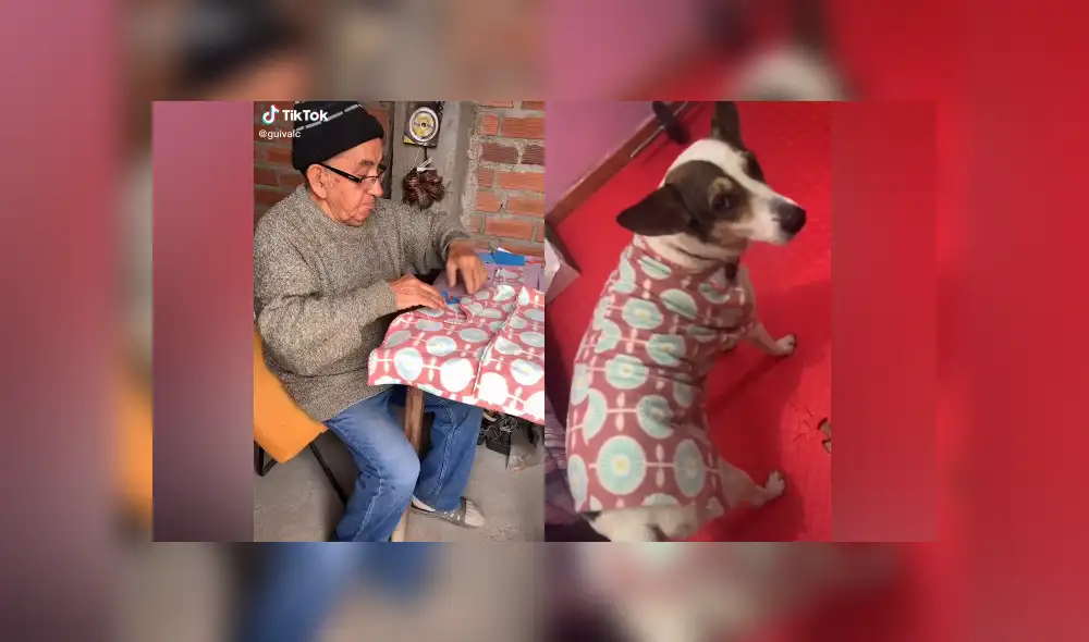 Desliza las imágenes para ver más detalles de esta conmovedora escena. (Foto: captura / TikTok)