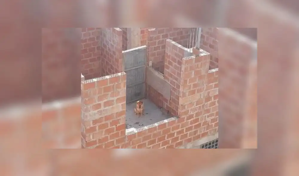 Foto: Conectados Noticias. Foto: Conectados Noticias.