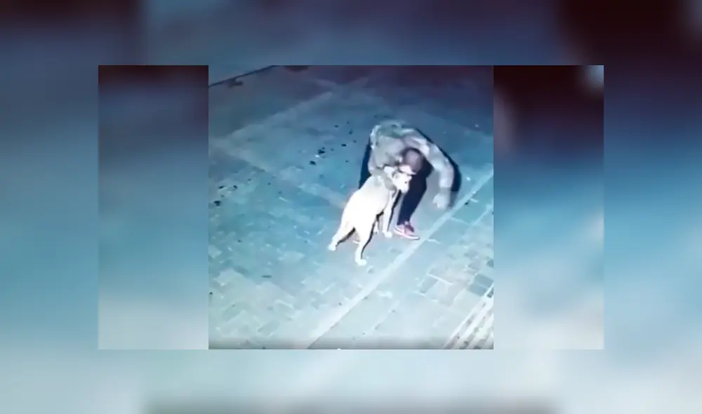 Desliza para ver el desenlace de este video viral publicado en Facebook. Foto: Captura.