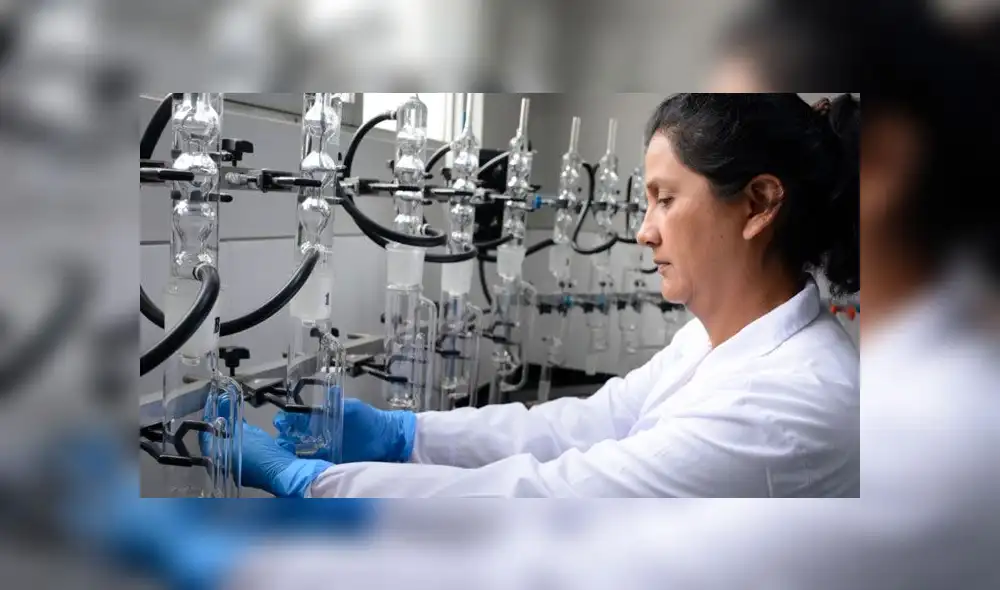 Banco Mundial otorgó financiamiento para repatriación de científicos. Créditos: Difusión. Banco Mundial otorgó financiamiento para repatriación de científicos. Créditos: Difusión.