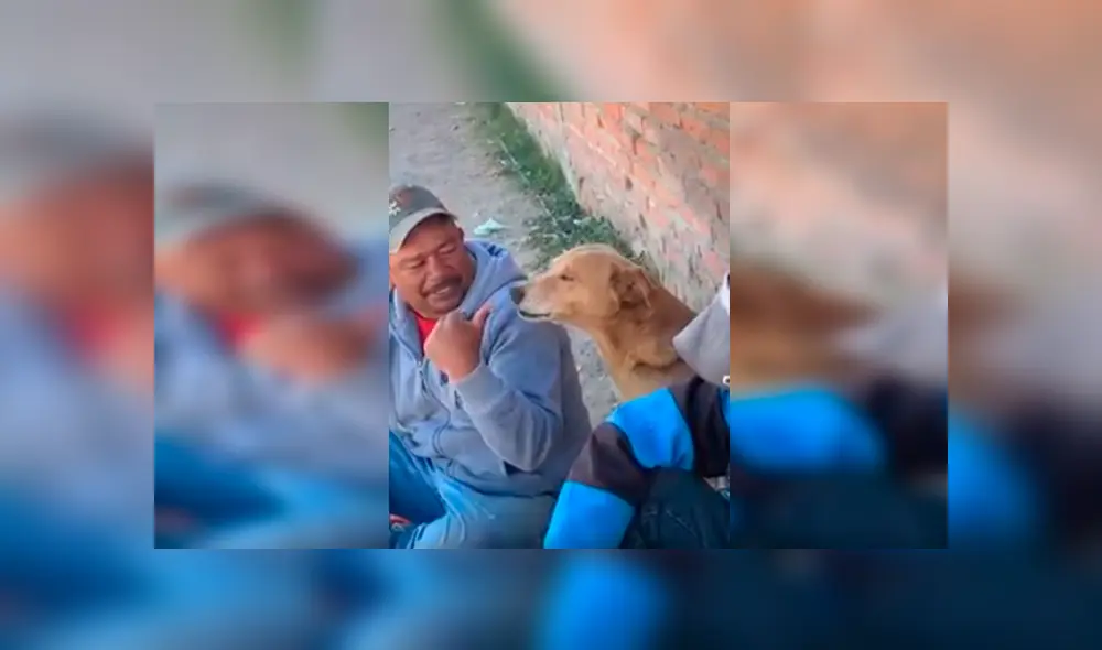 En Facebook, un perro acompañó a unos sujetos que escuchaban música y tomaban bebidas alcohólicas. En Facebook, un perro acompañó a unos sujetos que escuchaban música y tomaban bebidas alcohólicas.