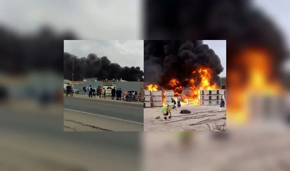 El hecho se registró en el fundo La Viña. El hecho se registró en el fundo La Viña.