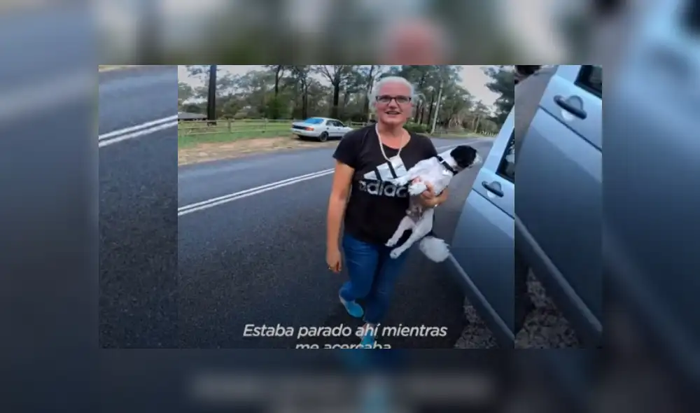 Video es viral en Facebook. Motociclista vio al perro caminando en medio de la autopista y se detuvo para sacarlo del peligro y esperar por horas a que sus dueños aparezcan. Fotocaptura: YouTube Video es viral en Facebook. Motociclista vio al perro caminando en medio de la autopista y se detuvo para sacarlo del peligro y esperar por horas a que sus dueños aparezcan. Fotocaptura: YouTube