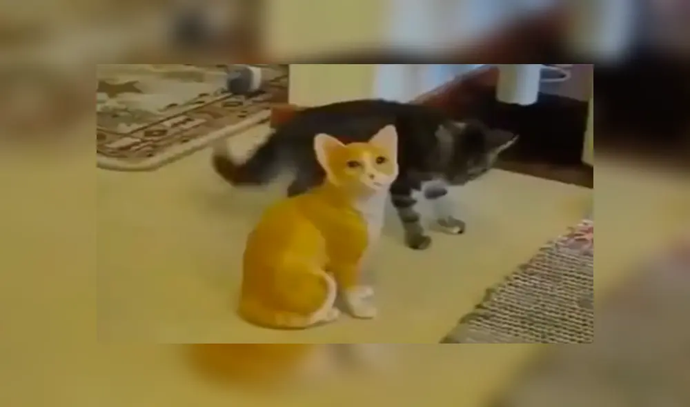 En YouTube, un joven compró un adorno en forma de gato para su casa y su mascota lo agarró para jugar. En YouTube, un joven compró un adorno en forma de gato para su casa y su mascota lo agarró para jugar.