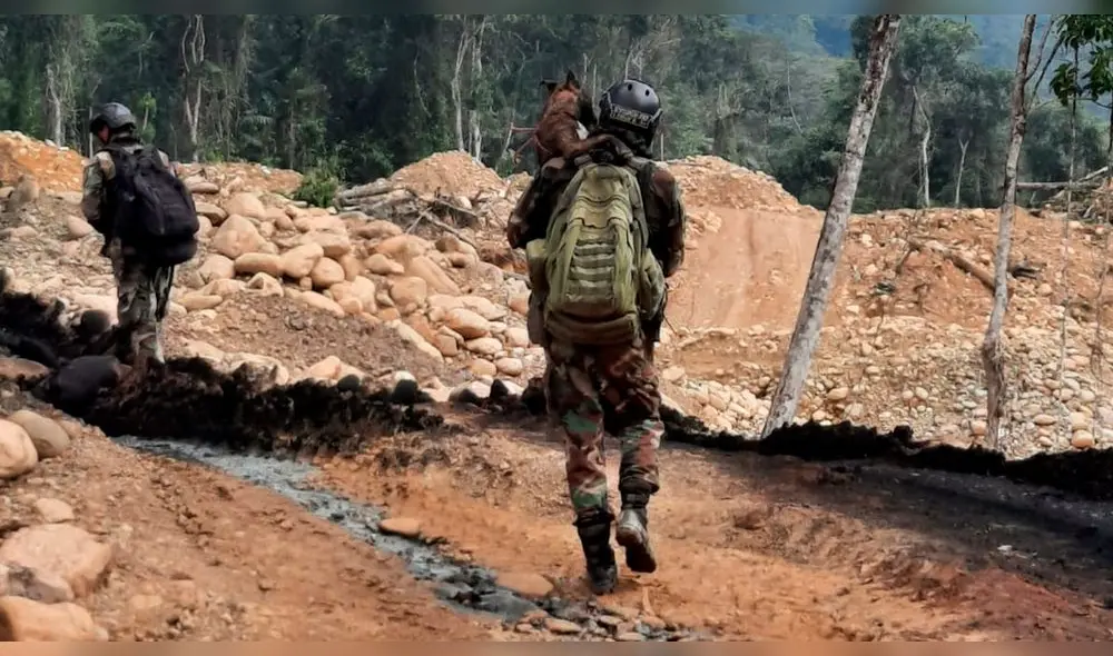 Se destruyeron 41 campamentos. Foto: FEM Se destruyeron 41 campamentos. Foto: FEM