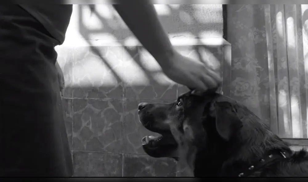 Roma: Alfonso Cuarón comparte la 'Cumbia del Borras'