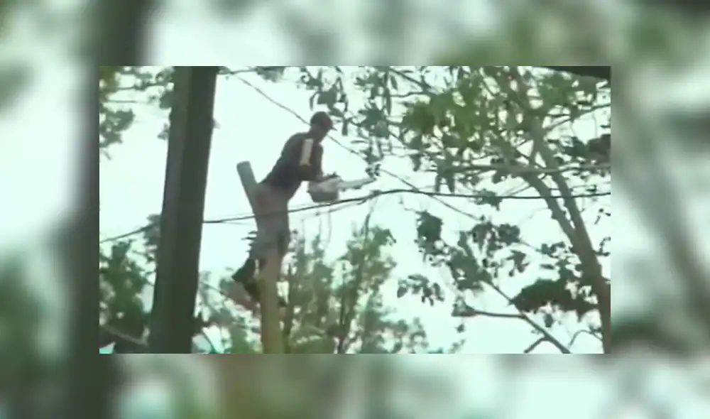 YouTube: Hombre se cortó el cuello con motosierra cuando limpiaba restos de huracán Irma