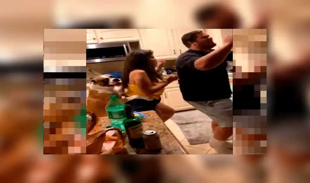 Pareja celebra su aniversario y su mascota se une para hacer “el baile del trencito” [VIDEO]