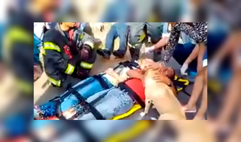 En YouTube, un perro demostró su lealtad al no querer desamparado su dueño, quien fue víctima de un accidente. En YouTube, un perro demostró su lealtad al no querer desamparado su dueño, quien fue víctima de un accidente.