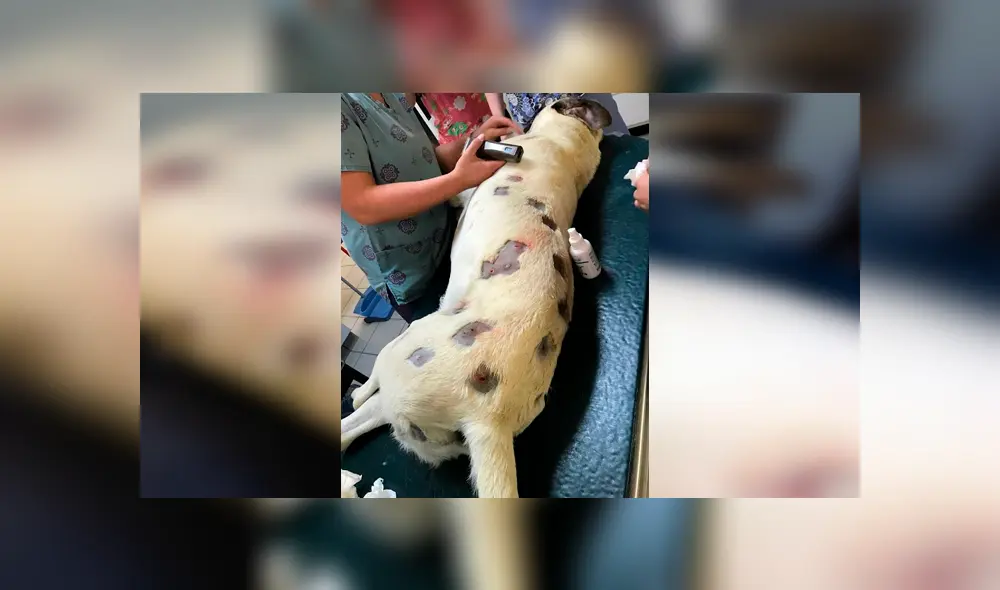 Desliza para ver los detalles de esta historia que se viralizó en Facebook. Foto: Captura. Desliza para ver los detalles de esta historia que se viralizó en Facebook. Foto: Captura.