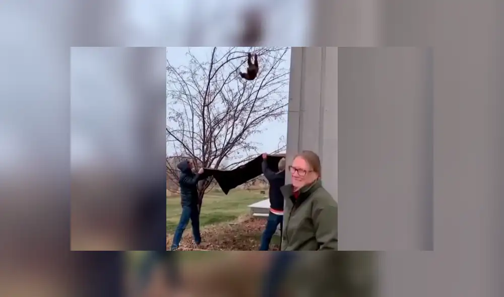 El osezno cayó, pero estos hombres ya tenían todo listo para ayudarlo. Foto: captura. El osezno cayó, pero estos hombres ya tenían todo listo para ayudarlo. Foto: captura.