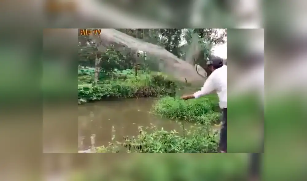YouTube viral: misterioso lago fue visitado por pescador que arrojó sus redes y atrapó esto [VIDEO]