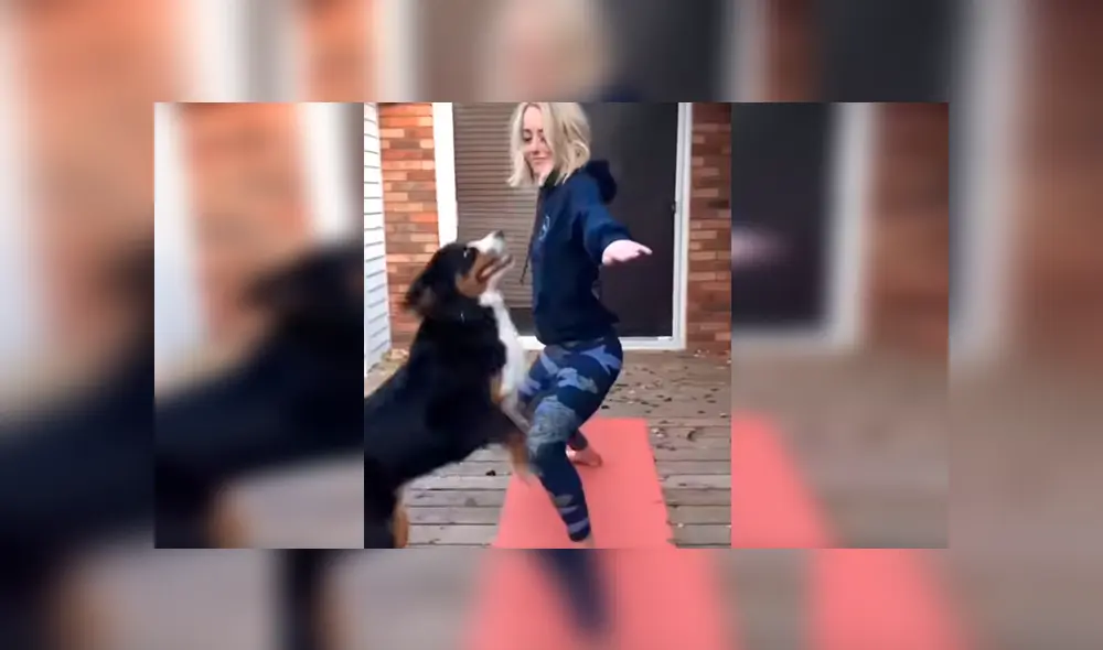 En Facebook, una joven intentó realizar un tutorial de yoga en su casa y no imaginó que su perro lo evitaría.