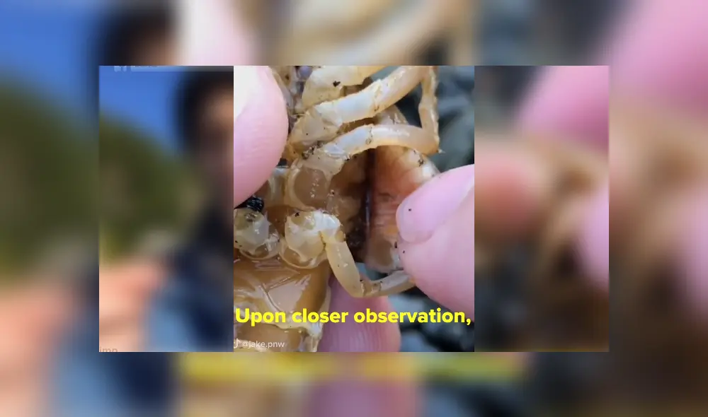 Desliza para ver los detalles del video viral publicado en YouTube. Foto: Captura. Desliza para ver los detalles del video viral publicado en YouTube. Foto: Captura.