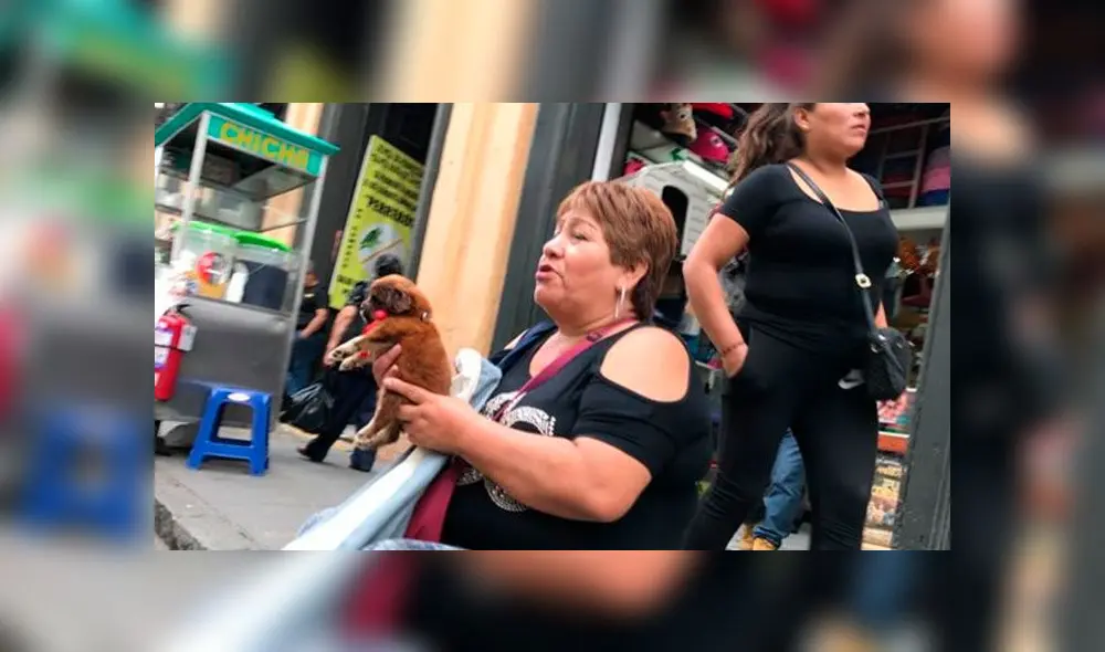 Maltrato animal: los rostros de quienes maltratan animales en jr. Ayacucho [FOTOS]
