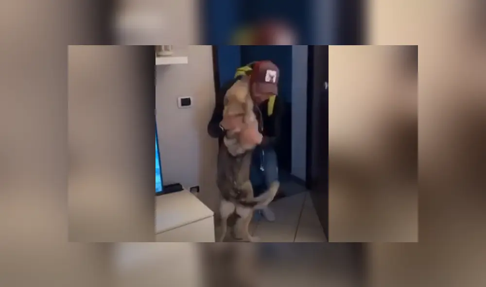 A través de YouTube se hizo viral el tierno reencuentro entre un perro y su dueño.