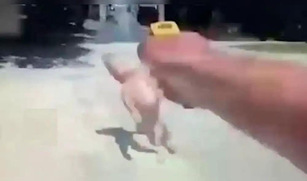 YouTube: indignación por policía grabado usando pistola eléctrica contra perro [VIDEO]