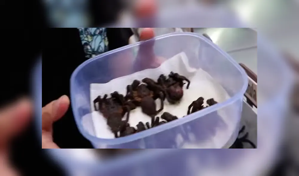 Luisito Comunica paga 80 soles por comer enorme tarántula venenosa, sin imaginar lo que pasaría.