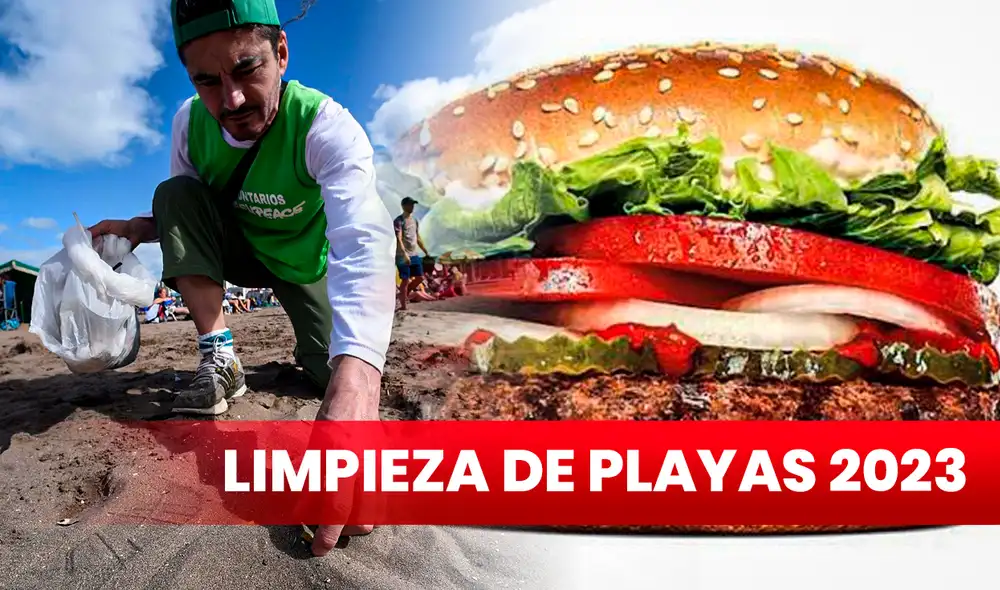 limpieza de playas