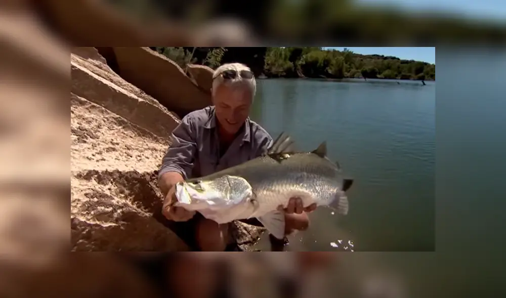 Desliza hacia la izquierda para ver el aspecto de la criatura que atrapó un pescado y se volvió viral en Facebook.