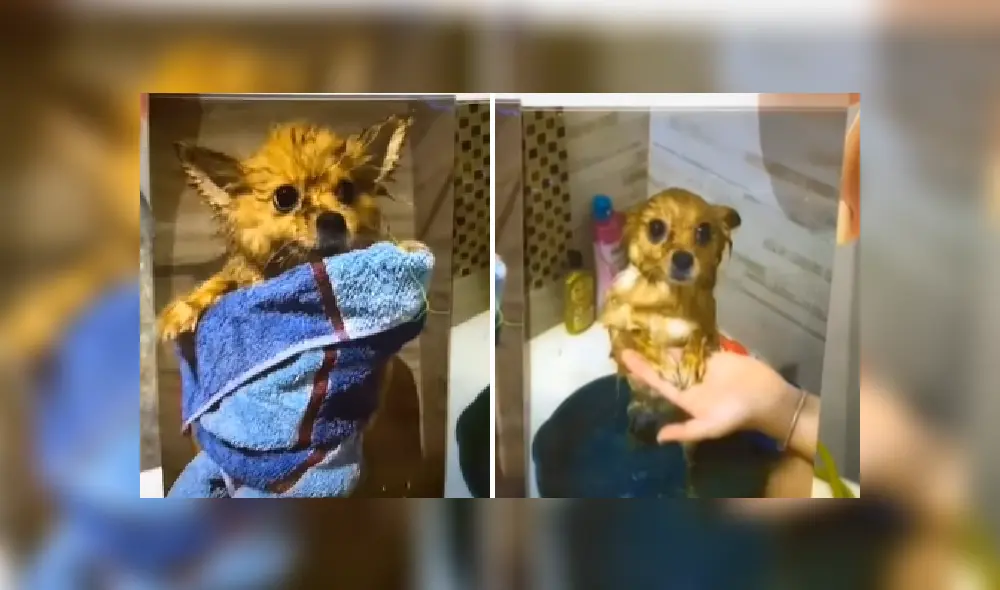 Desliza las imágenes para ver más detalles de este increíble cambio de look que es viral en Facebook. Desliza las imágenes para ver más detalles de este increíble cambio de look que es viral en Facebook.