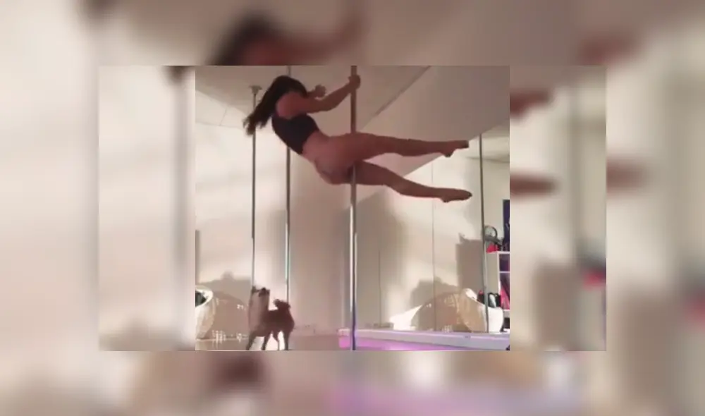 YouTube viral: bella joven hace sexy baile de ‘pole dance’ y su perro le arruina su presentación [VIDEO]