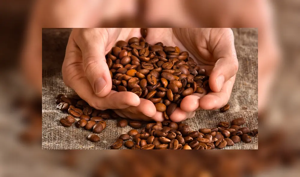 El público de LIma tenrá la oportunidad de degustar el mejor café de Villa Rica.