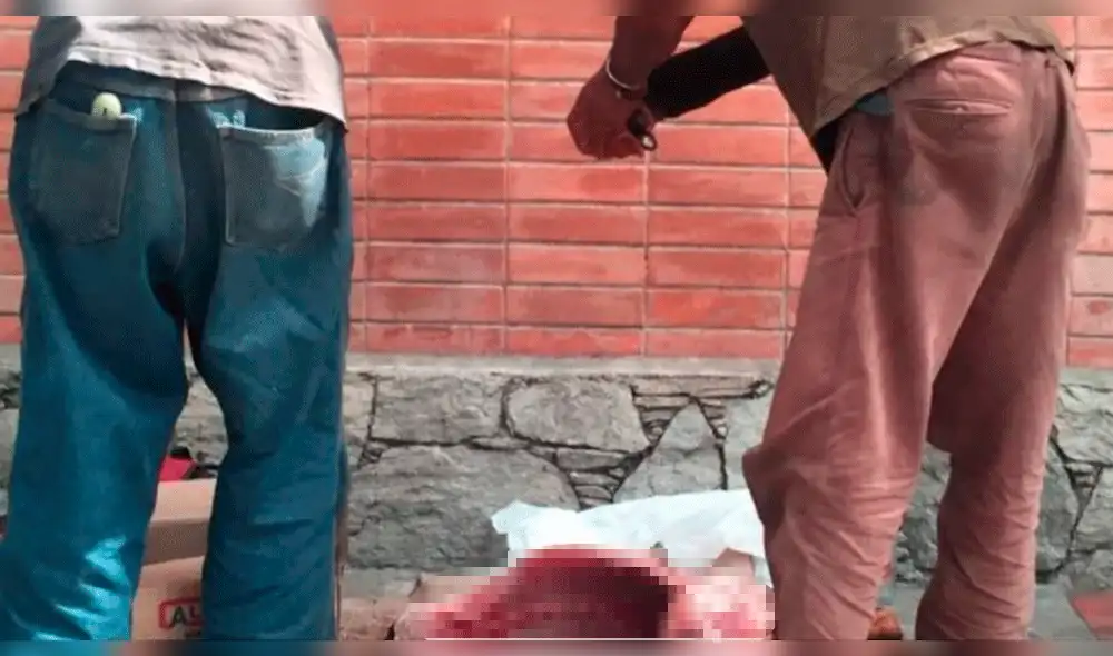 Twitter: Venezolanos despellejan y deshuesan a perros callejeros para sobrevivir a la crisis [FOTOS]