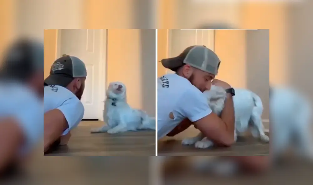 Desliza las imágenes hacia la izquierda para conocer la tierna acción de un joven con su adorada mascota. Desliza las imágenes hacia la izquierda para conocer la tierna acción de un joven con su adorada mascota.