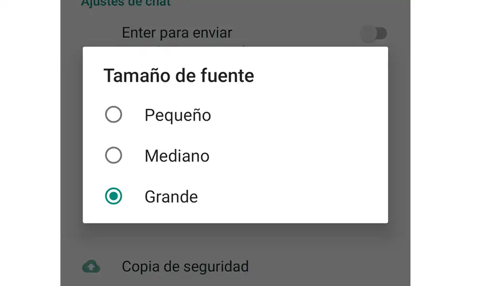 4. Elige grande. Foto: Captura de WhatsApp