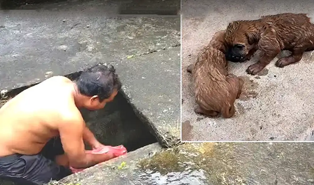 Desliza hacia la izquierda para ver las imágenes del video viral. Foto: captura de Facebook.