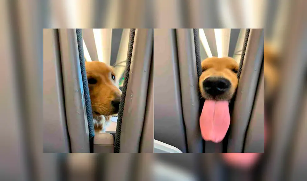 Desliza para ver los detalles de esta historia viral de Facebook. Foto: Captura. Desliza para ver los detalles de esta historia viral de Facebook. Foto: Captura.