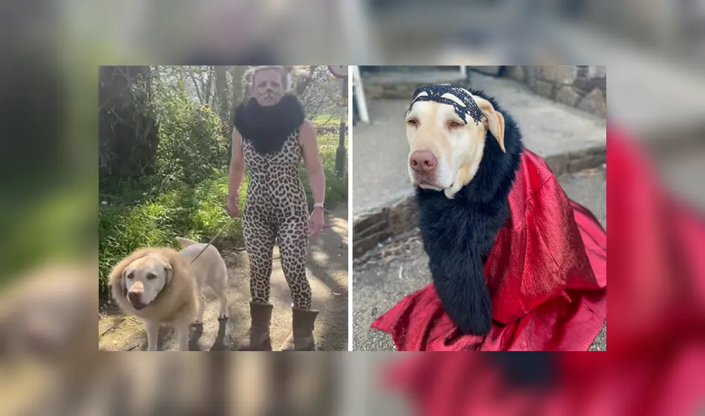 Desliza las imágenes para ver más detalles sobre esta peculiar escena que es viral en Facebook. Desliza las imágenes para ver más detalles sobre esta peculiar escena que es viral en Facebook.