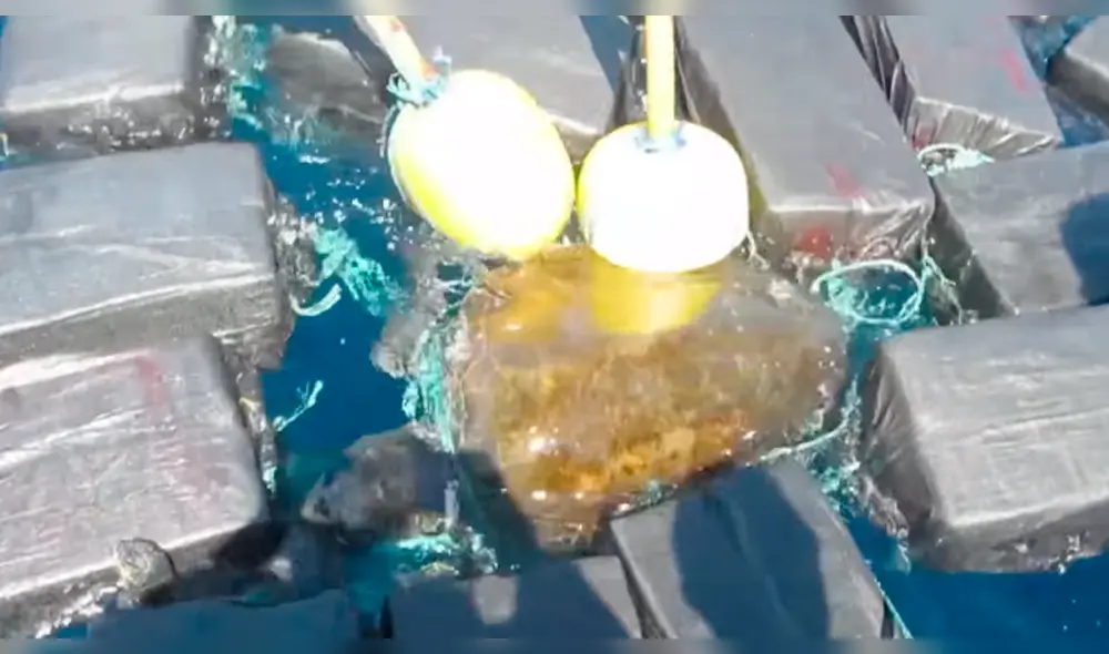 Vía YouTube, salvan a tortuga que estaba enredada en 800 kilos de cocaína [VIDEO]