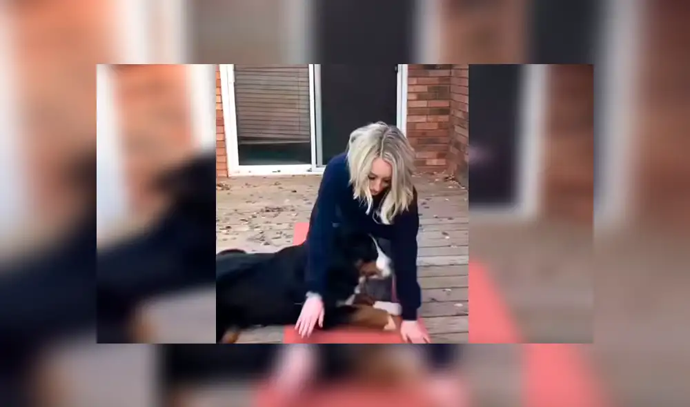 En Facebook, una joven intentó realizar un tutorial de yoga en su casa y no imaginó que su perro lo evitaría.