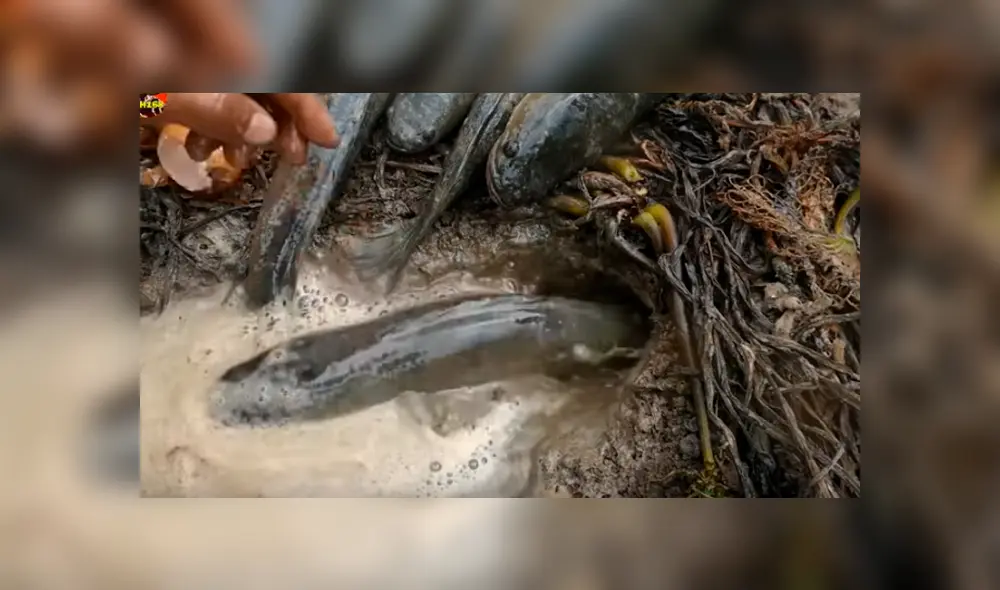 Desliza hacia la izquierda para ver el experimento que se volvió viral en Facebook.