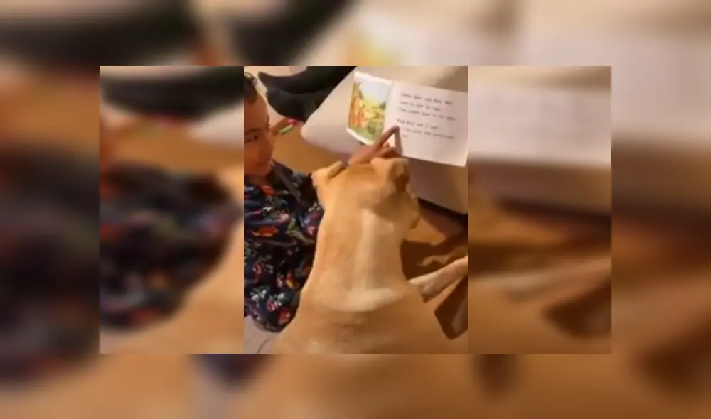 Desliza las imágenes para ver más detalles de esta escena que es viral en YouTube. Desliza las imágenes para ver más detalles de esta escena que es viral en YouTube.