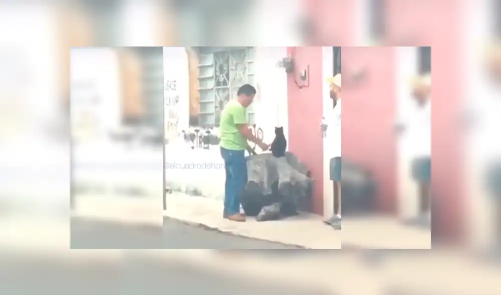 En Facebook, una joven descubrió la tierna escena protagonizada por su padre un gato callejero que adoptó. En Facebook, una joven descubrió la tierna escena protagonizada por su padre un gato callejero que adoptó.
