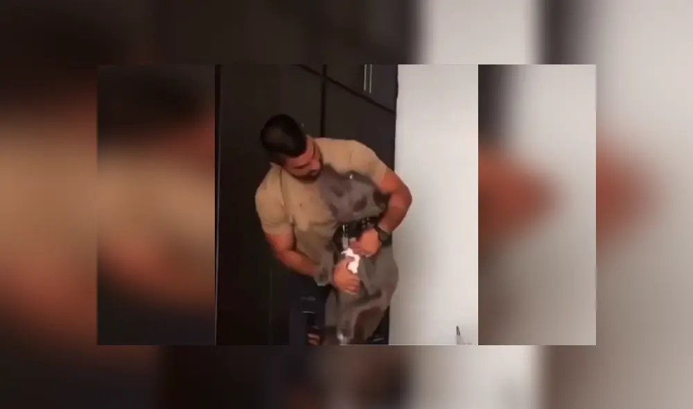 Desliza las imágenes hacia la izquierda para apreciar el preciso momento en que un perro vuelve a ver a su dueño. Foto: Captura. Desliza las imágenes hacia la izquierda para apreciar el preciso momento en que un perro vuelve a ver a su dueño. Foto: Captura.