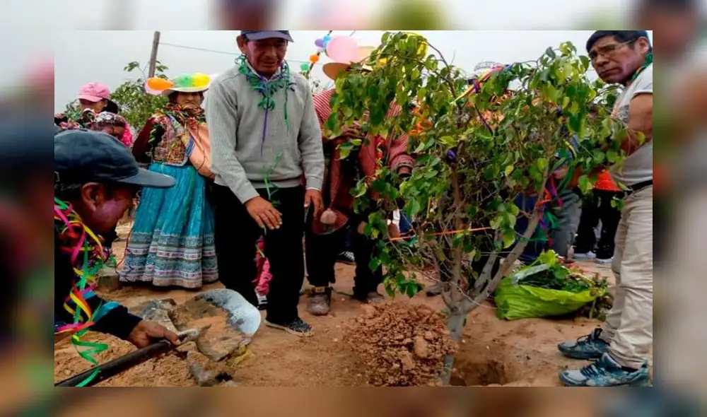 Arequipa. Una nueva costumbre imponen participantes de yunzada. Arequipa. Una nueva costumbre imponen participantes de yunzada.