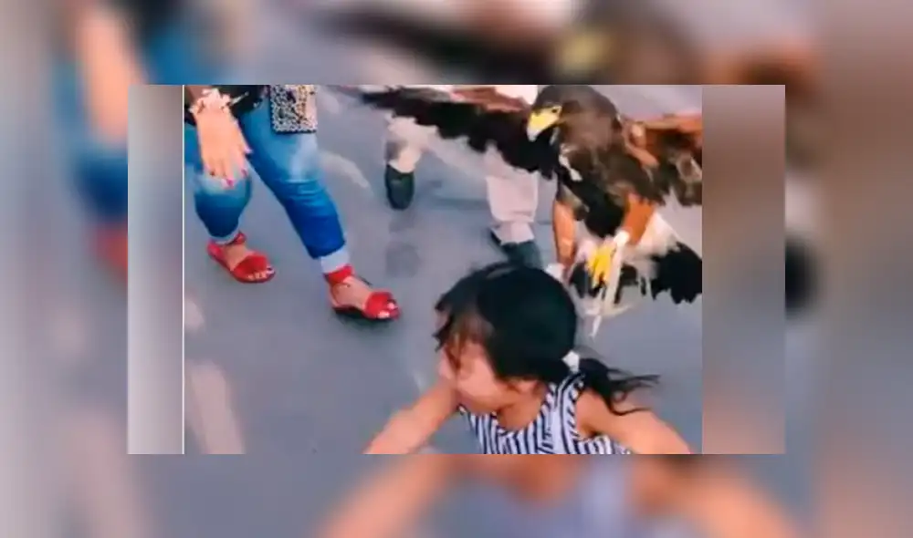YouTube viral: enorme águila agarra a niña de los pelos y su madre se burla [VIDEO]