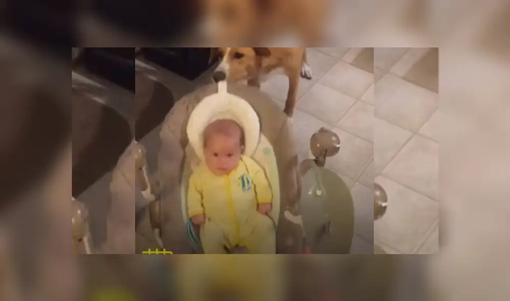 Video es viral en YouTube. Mujer mostró el vínculo especial que tiene su perro con su hija desde que la vio por primera vez. Fotocaptura: YouTube Video es viral en YouTube. Mujer mostró el vínculo especial que tiene su perro con su hija desde que la vio por primera vez. Fotocaptura: YouTube