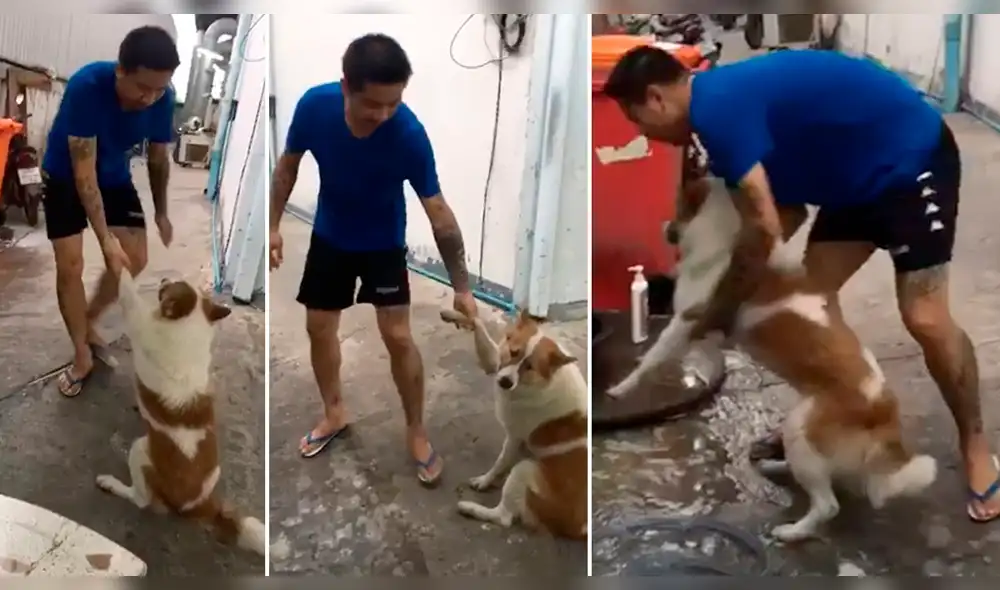 YouTube viral: perro no quiere que se dueño lo bañe y hace de todo para evitarlo YouTube viral: perro no quiere que se dueño lo bañe y hace de todo para evitarlo