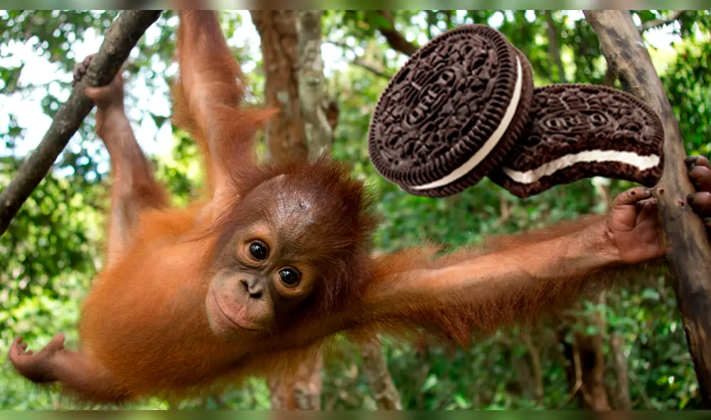 Denuncian a fabricante de Oreo por malas prácticas 