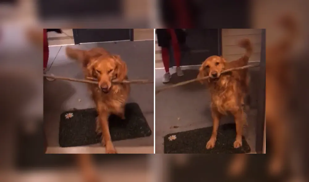 Desliza para ver todas las imágenes de Facebook. Foto: captura